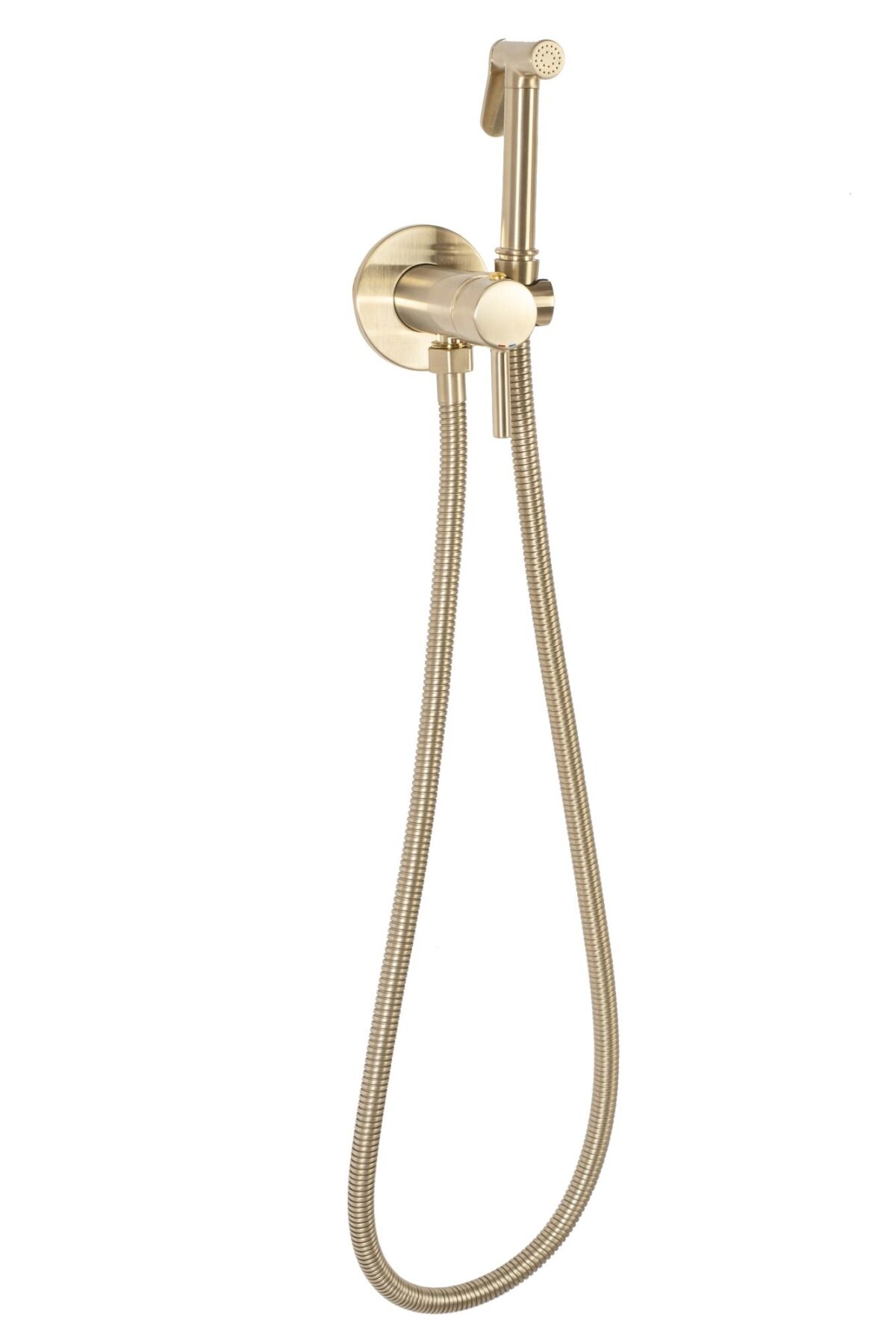 Baterie bideu  Lungo Loop Gold Brush - imagine 5