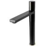 BATERIE CHIUVETA NEAGRA AURIE ÎNALTA - imagine 3