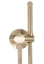 Baterie bideu  Lungo Loop Gold Brush - imagine 2