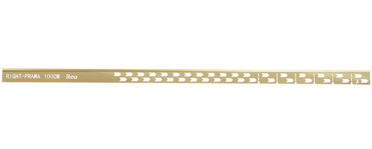 Profil de panta cadita de dus 100cm Brush Gold - imagine 3